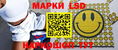 прущие грибы Нальчик
