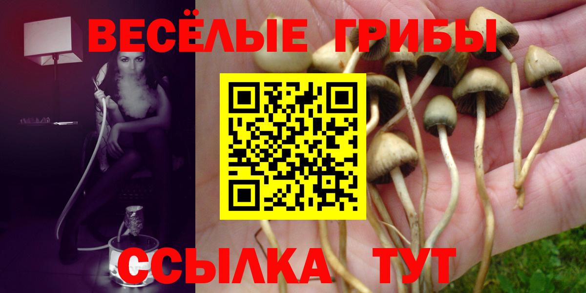 Галлюциногенные грибы Psilocybine cubensis  Вход с VPN  Якутск  Галлюциногенные грибы Psilocybe 